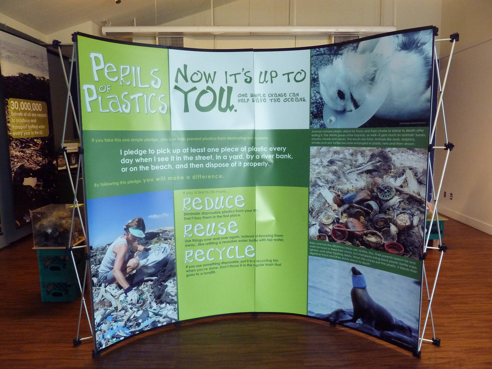 Perils Of Plastic (Temporary Exhibit)