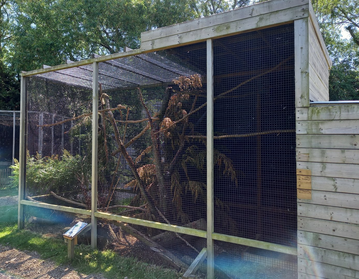Perny's squirrel-enclosure