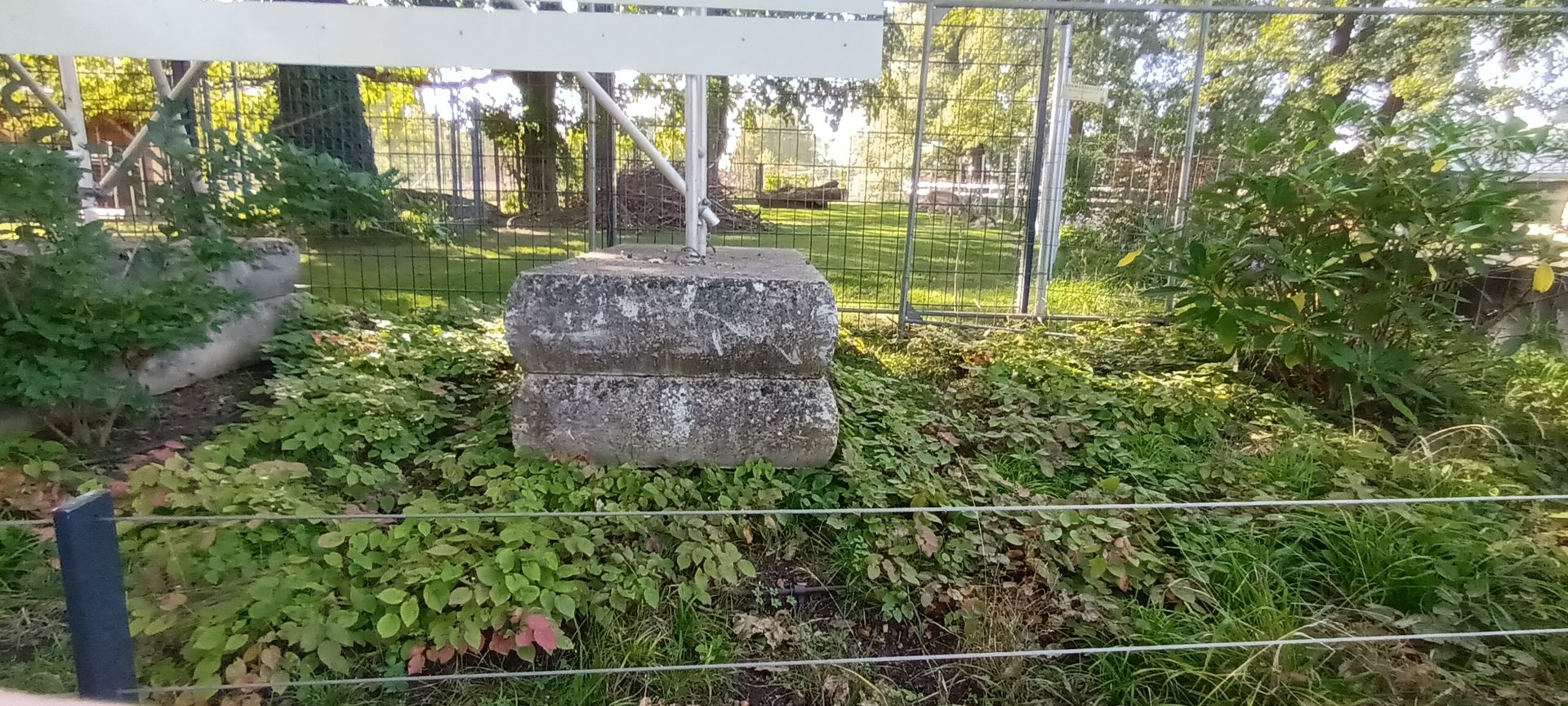 Persian fallow Deer Enclosure