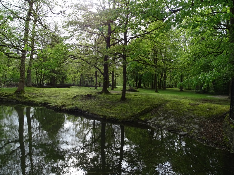 Persian fallow deer enclosure
