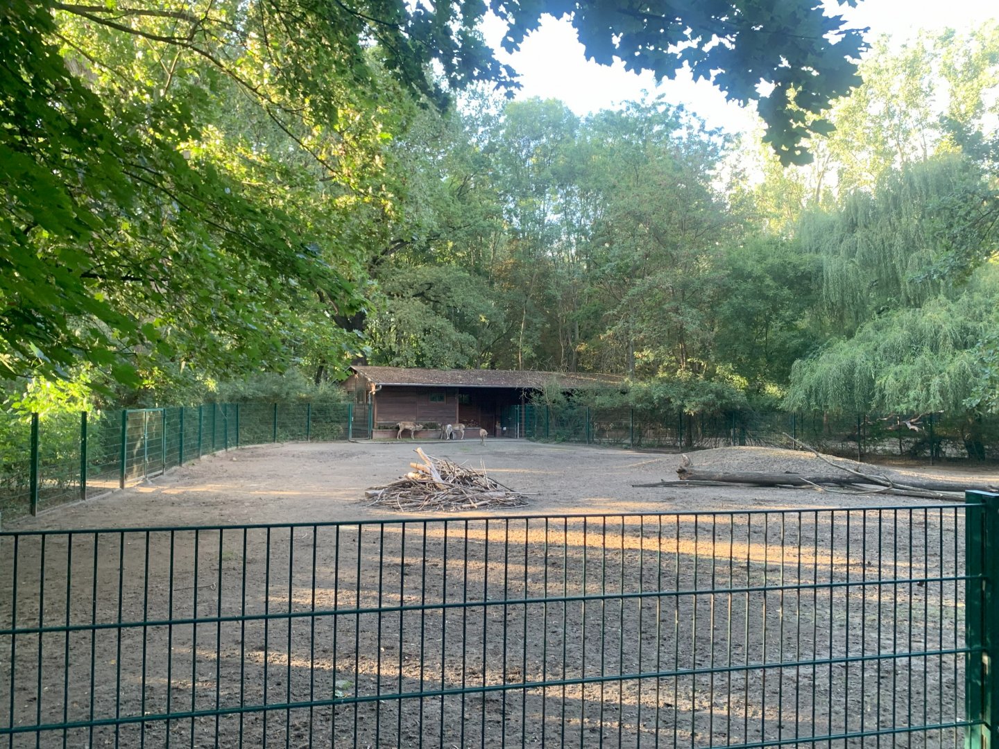 Persian Fallow Deer enclosure
