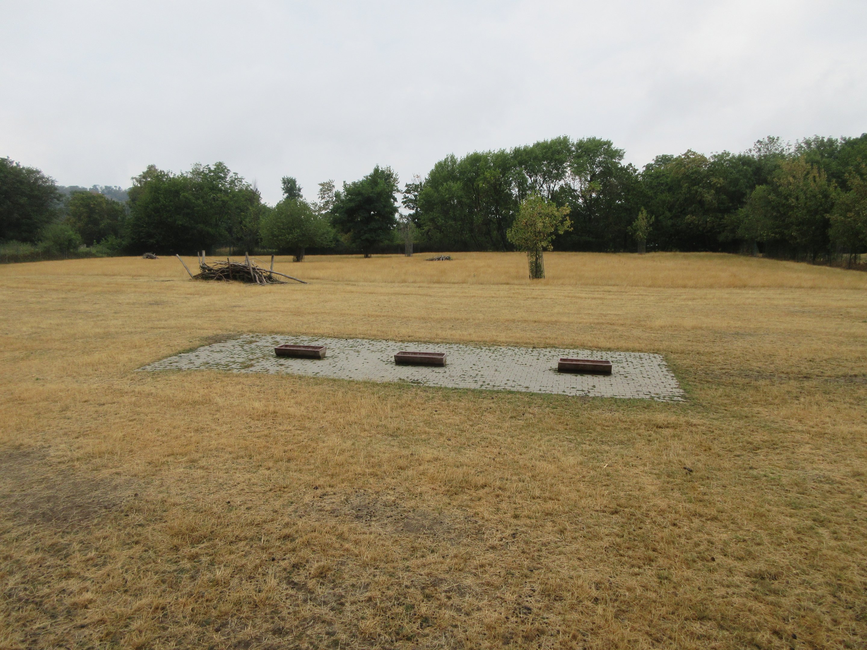 Persian Fallow Deer Exhibit