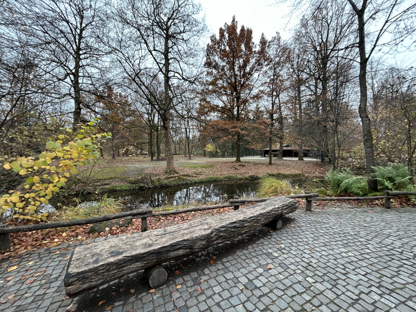 Persian Fallow Deer Exhibit