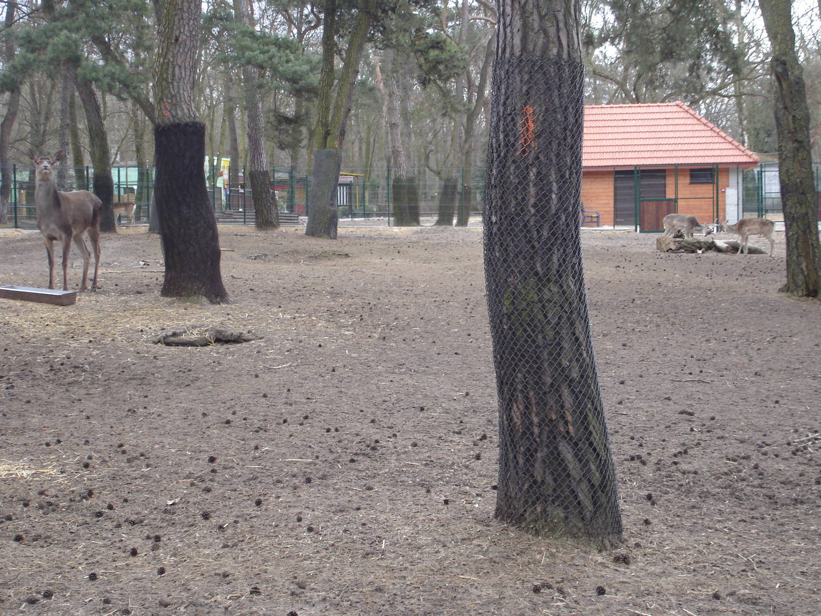 Persian fallow deers and Red Deer exhibit