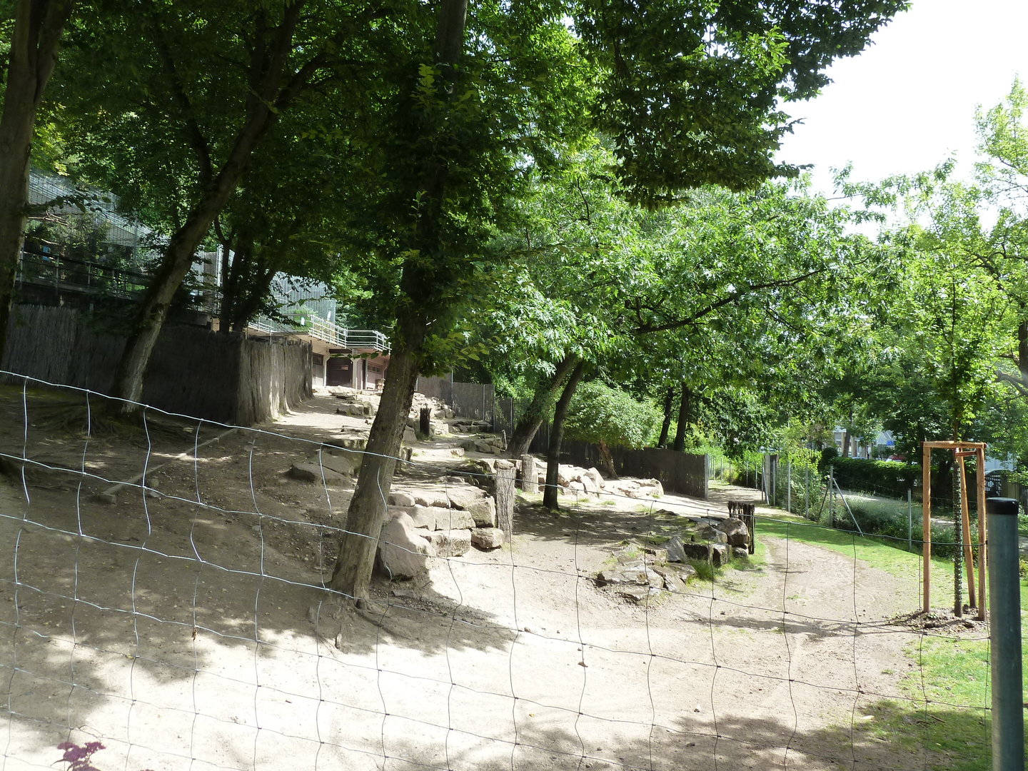 Persian gazelle enclosure