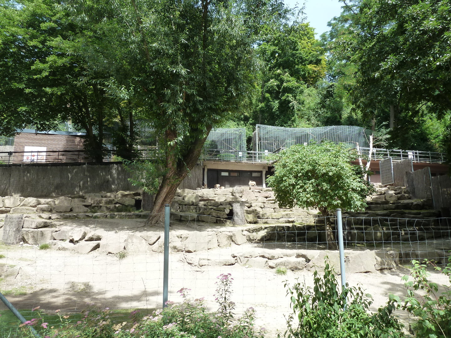 Persian gazelle enclosure