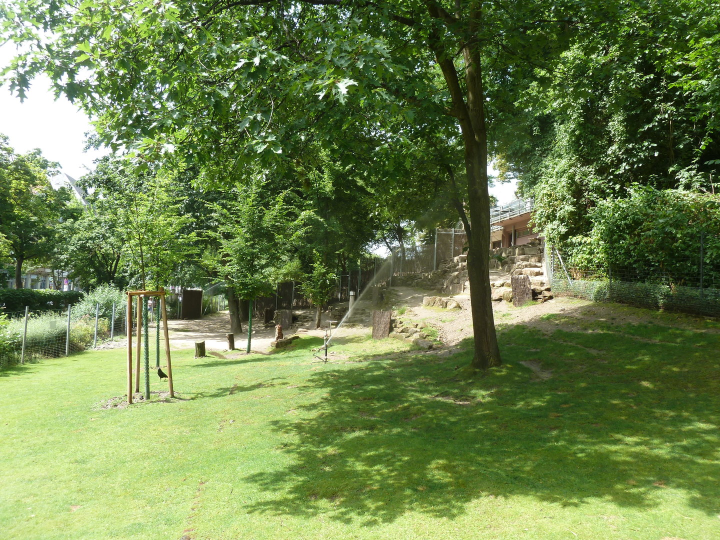 Persian gazelle enclosure