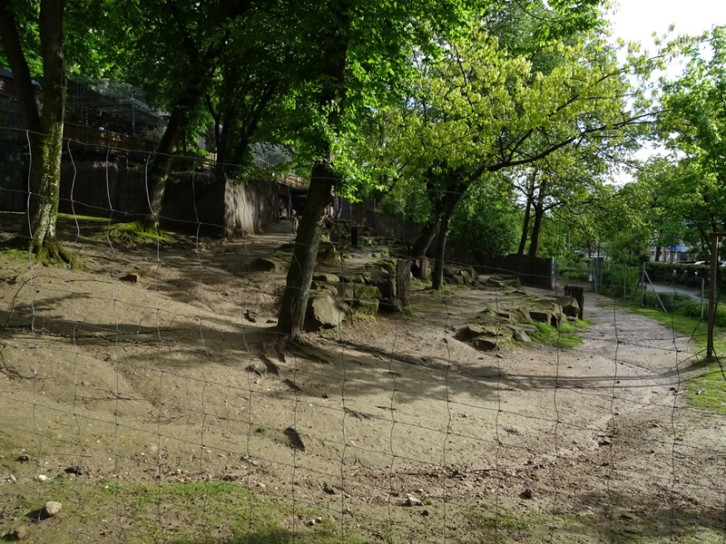 Persian gazelle enclosure