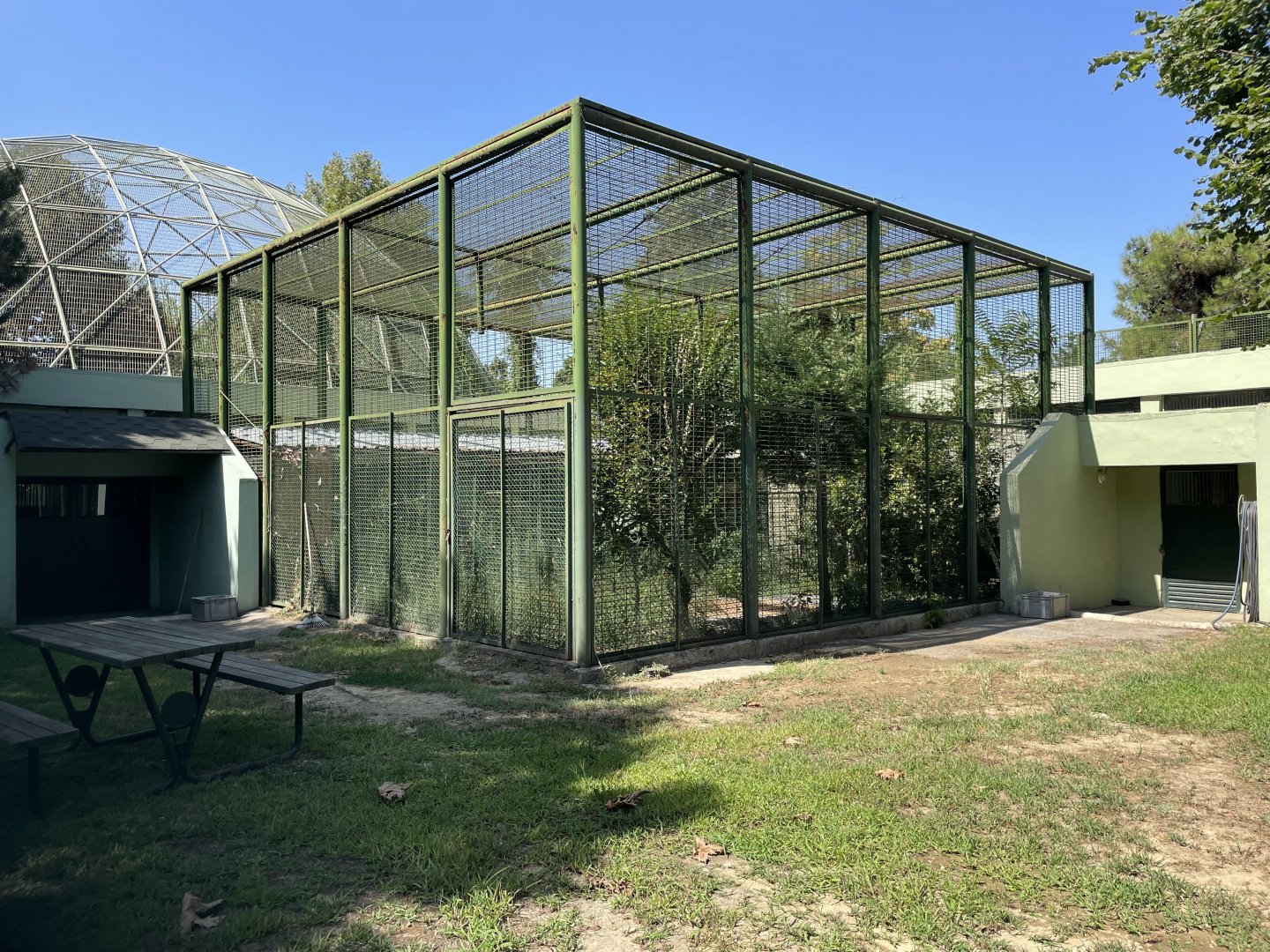 Persian leopard BTS holding enclosure