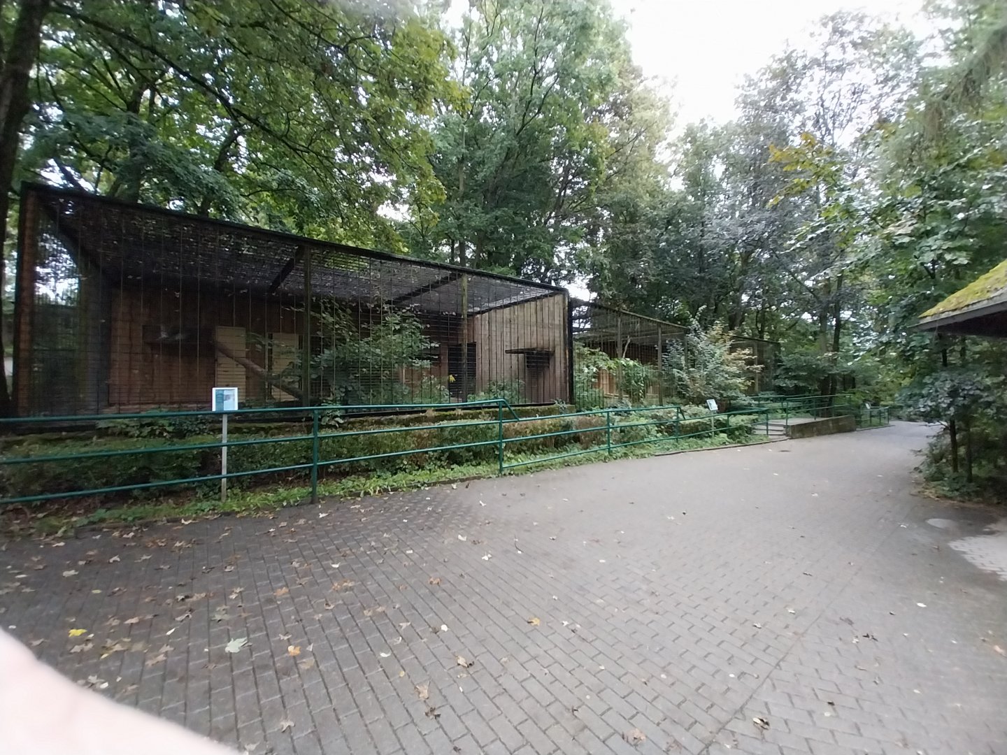 Persian Leopard connected enclosures