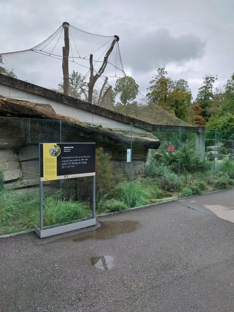 Persian leopard enclosure - Ottoman viper enclosure