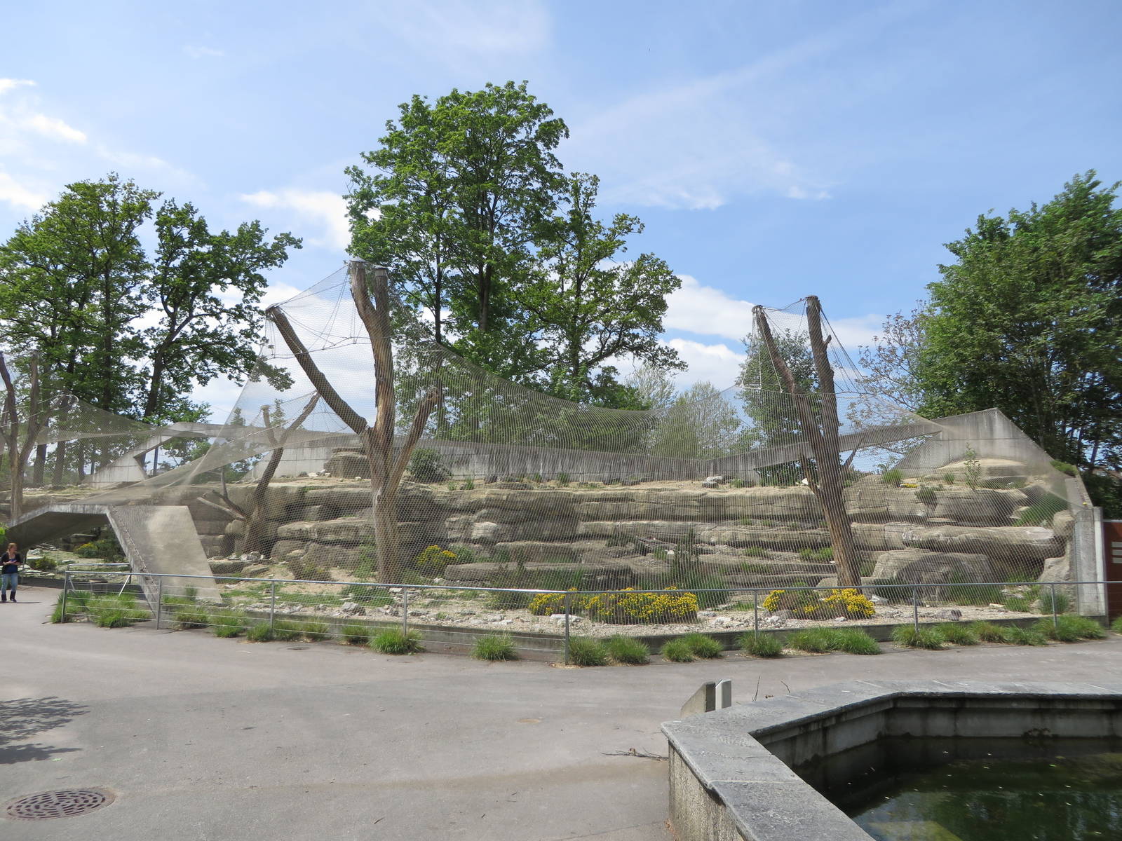 Persian leopard enclosure