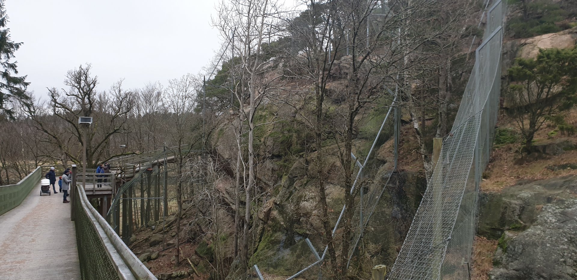 Persian leopard enclosure