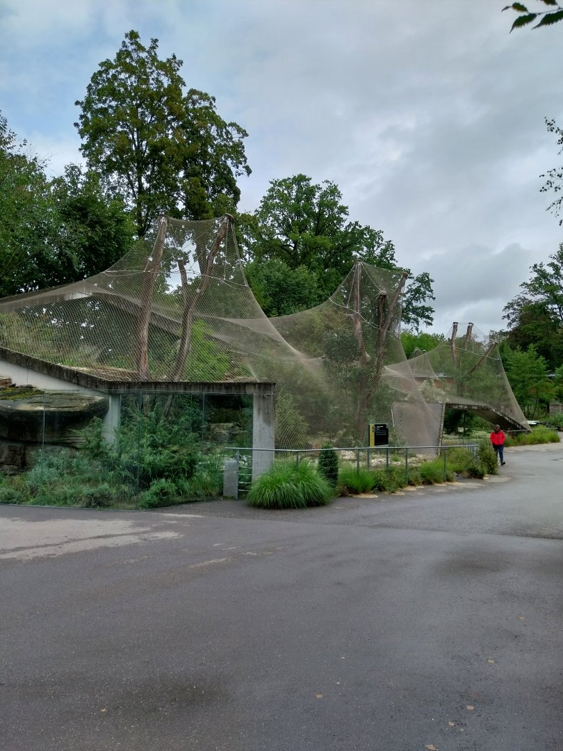 Persian leopard enclosure