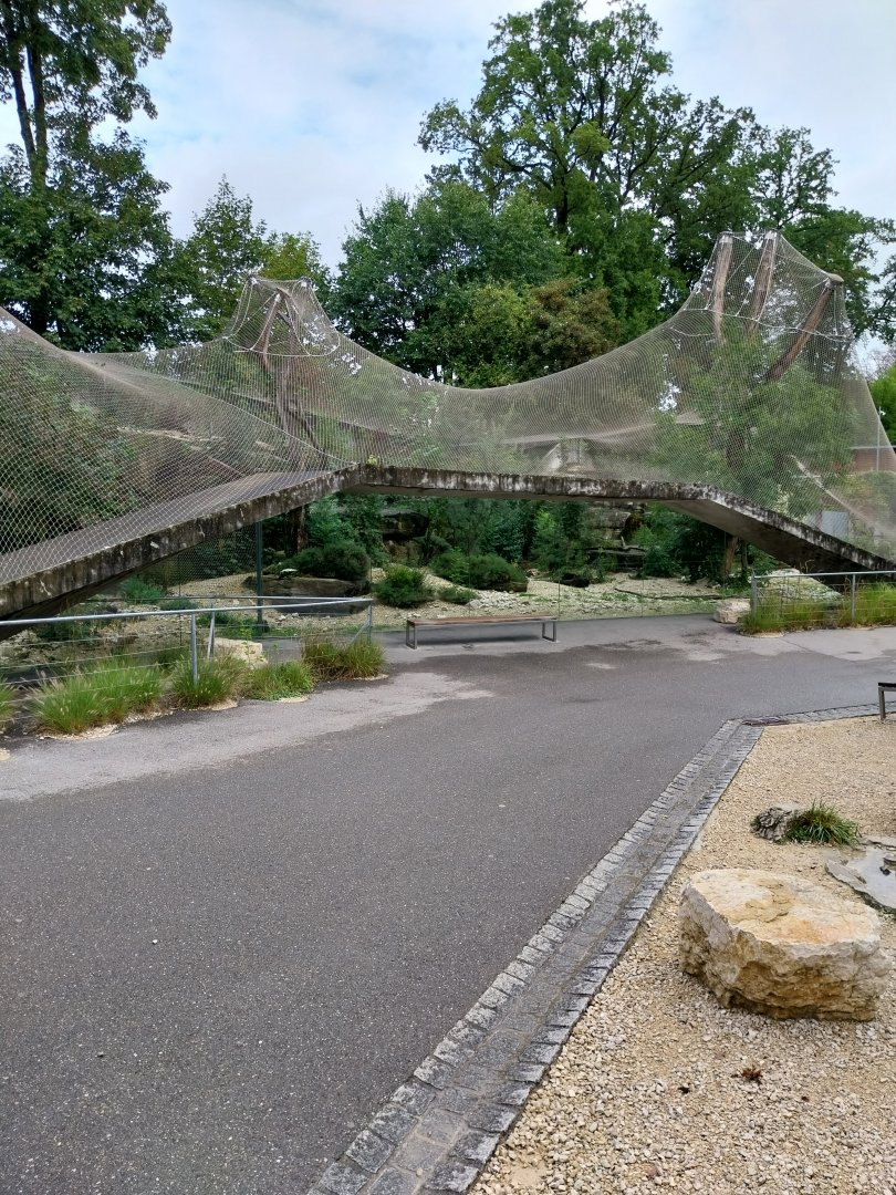 Persian leopard enclosure