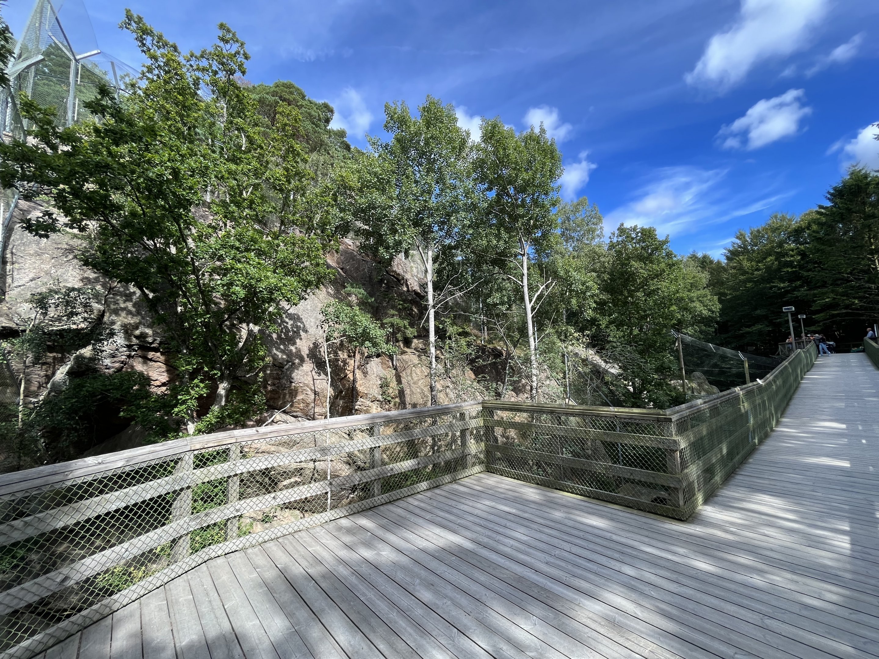 Persian Leopard Exhibit #1