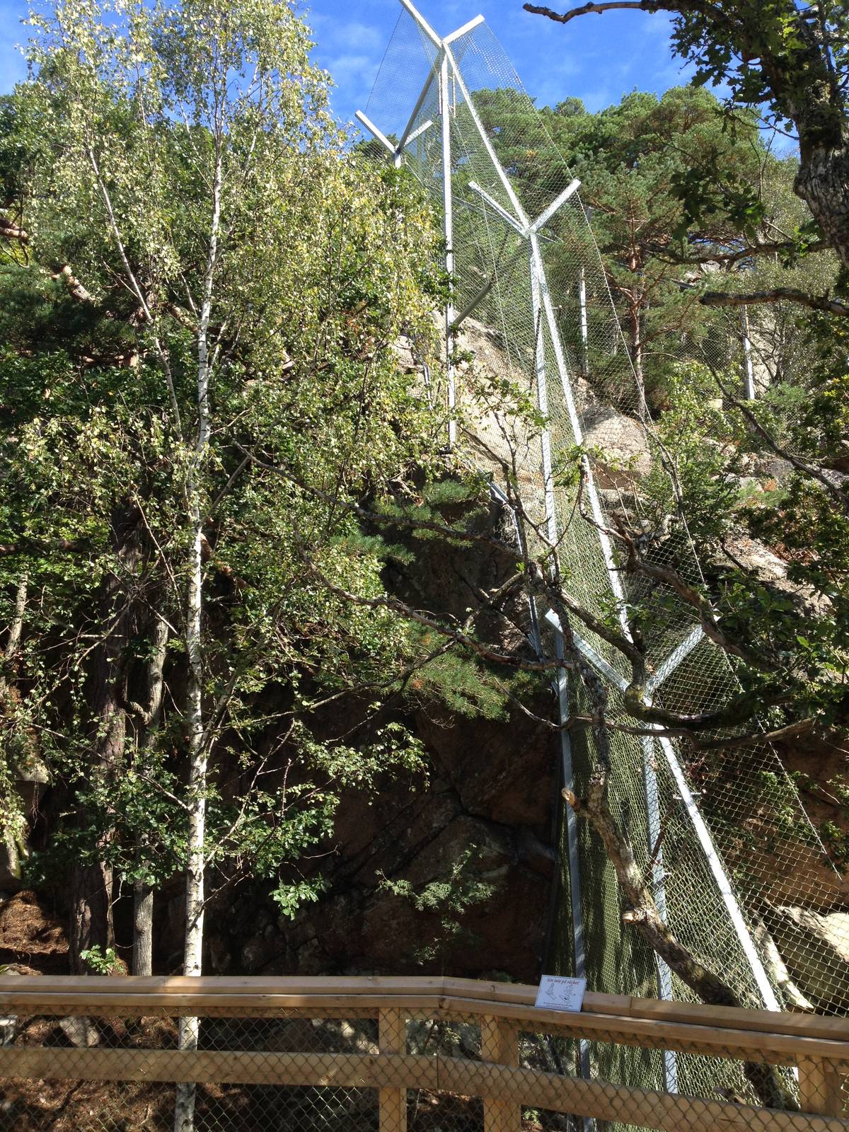 Persian leopard exhibit (new for 2014)