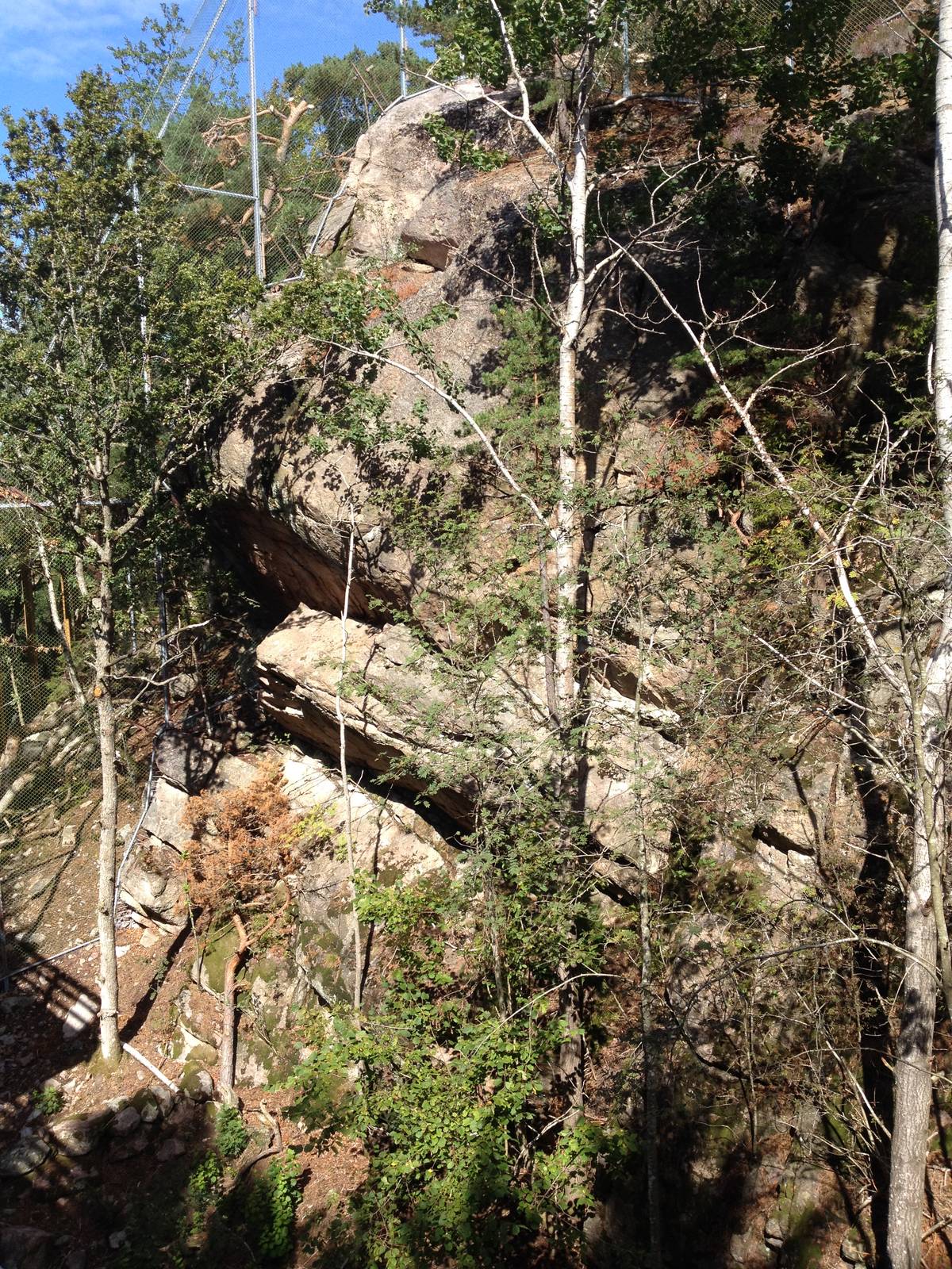 Persian leopard exhibit (new for 2014)