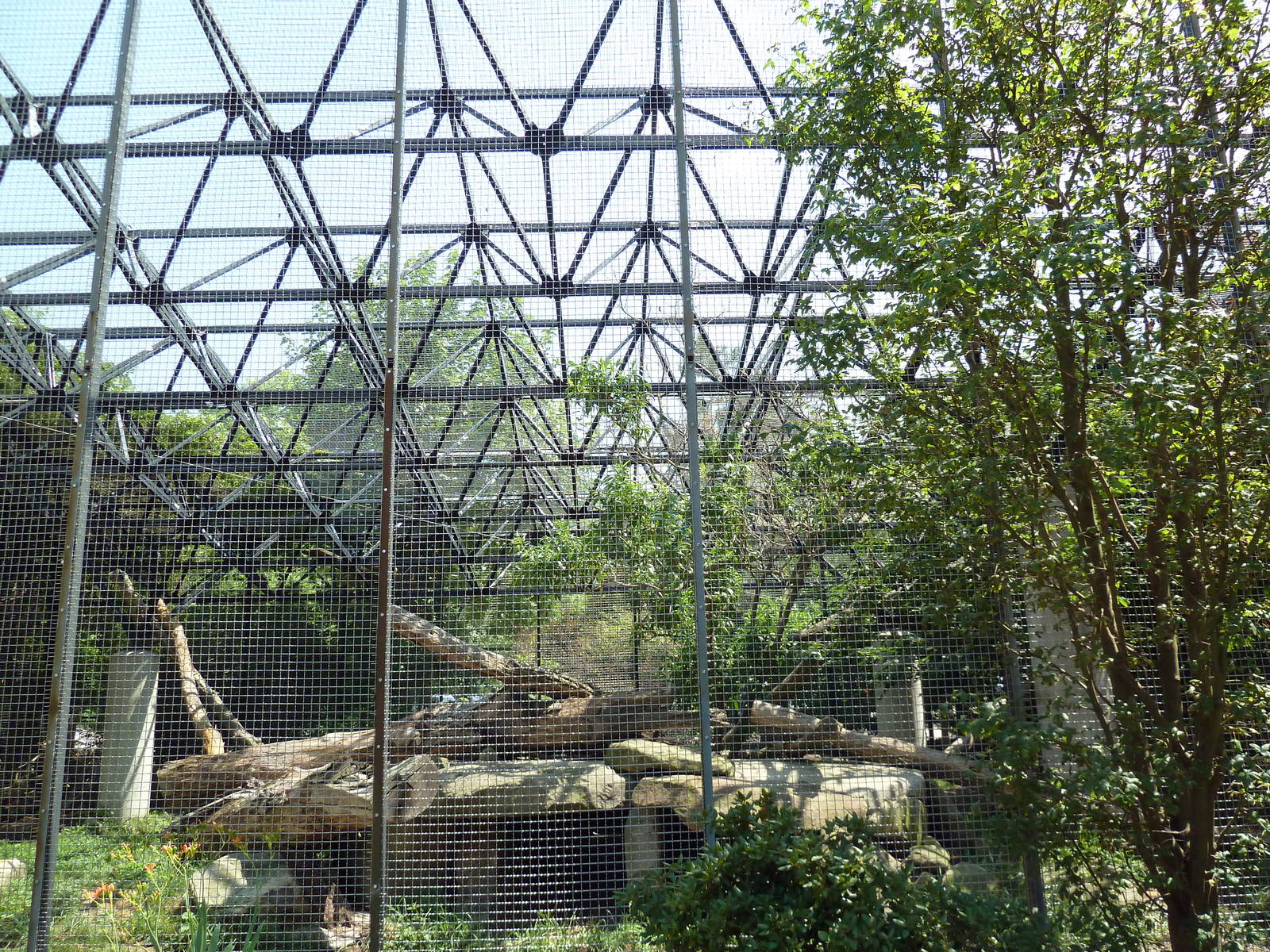 Persian Leopard Exhibit