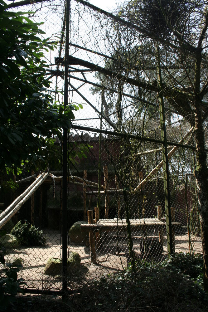 persian leopard exhibit