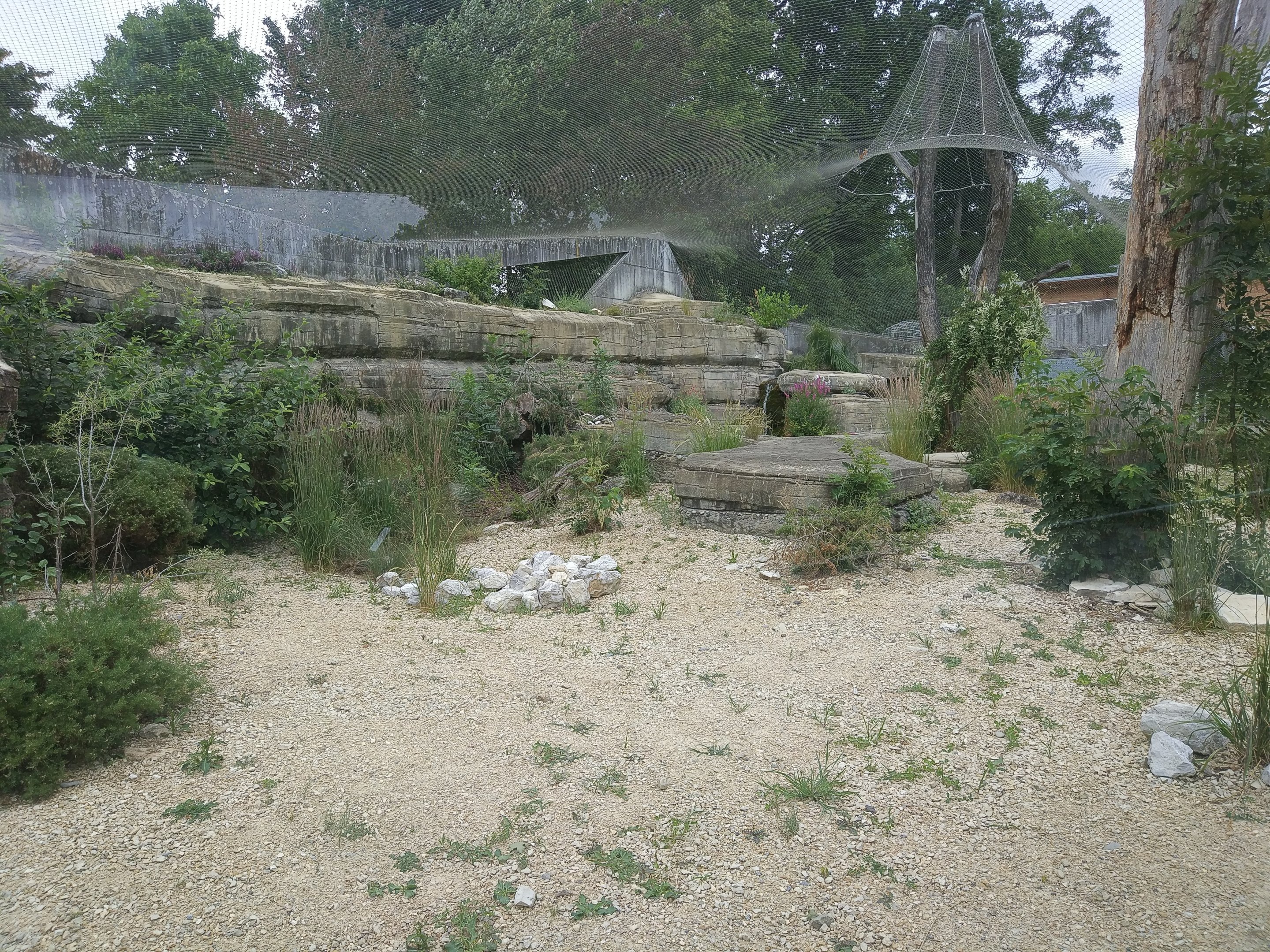 Persian Leopard exhibit