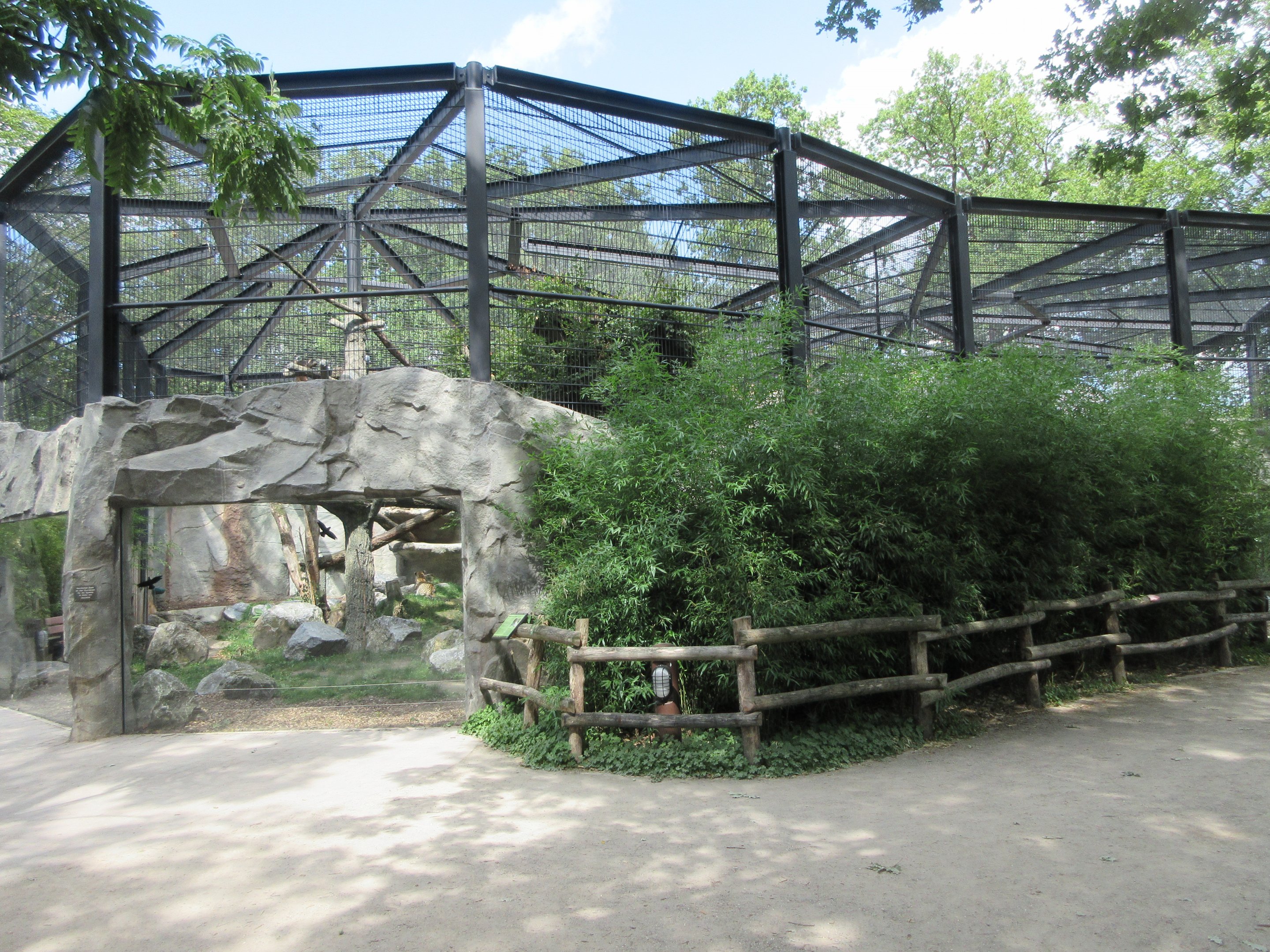 Persian Leopard Exhibit