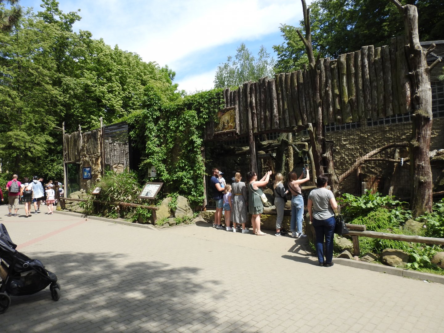 Persian leopard exhibit