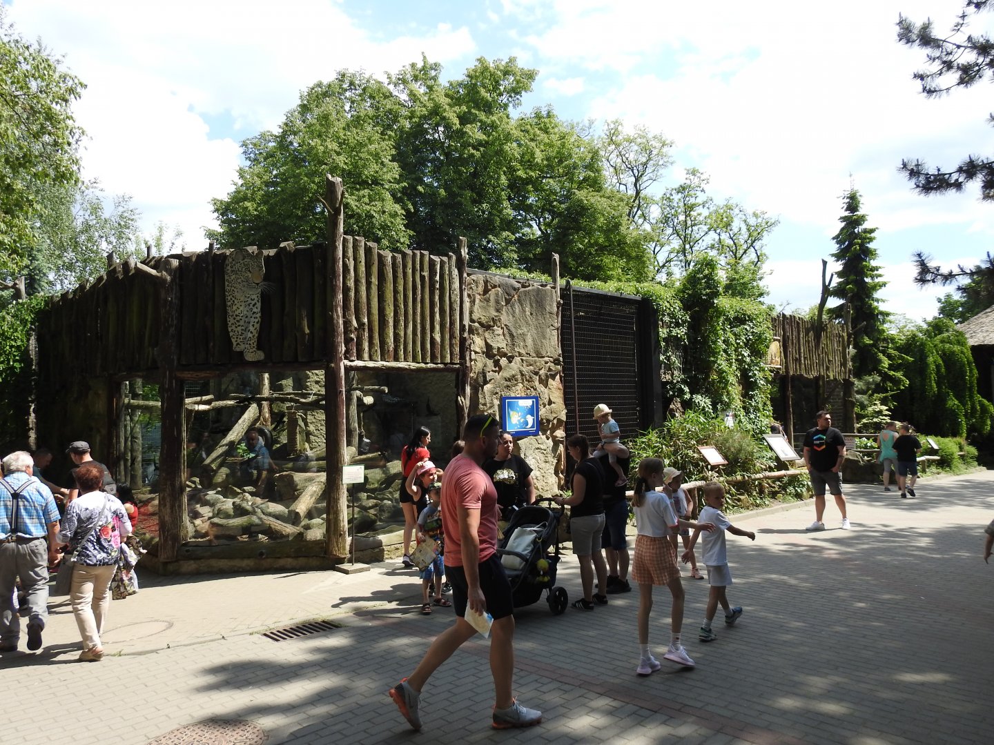 Persian leopard exhibit