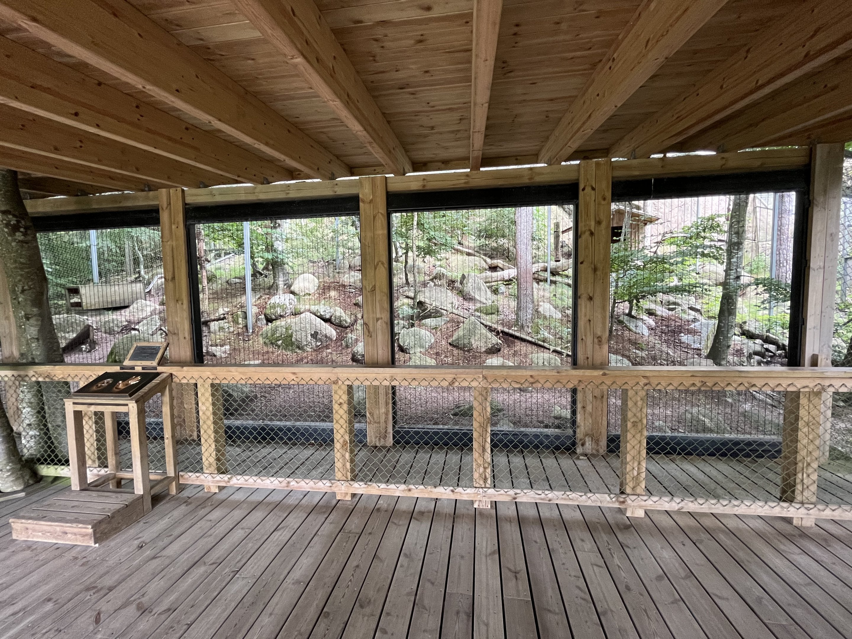 Persian Leopard Exhibit