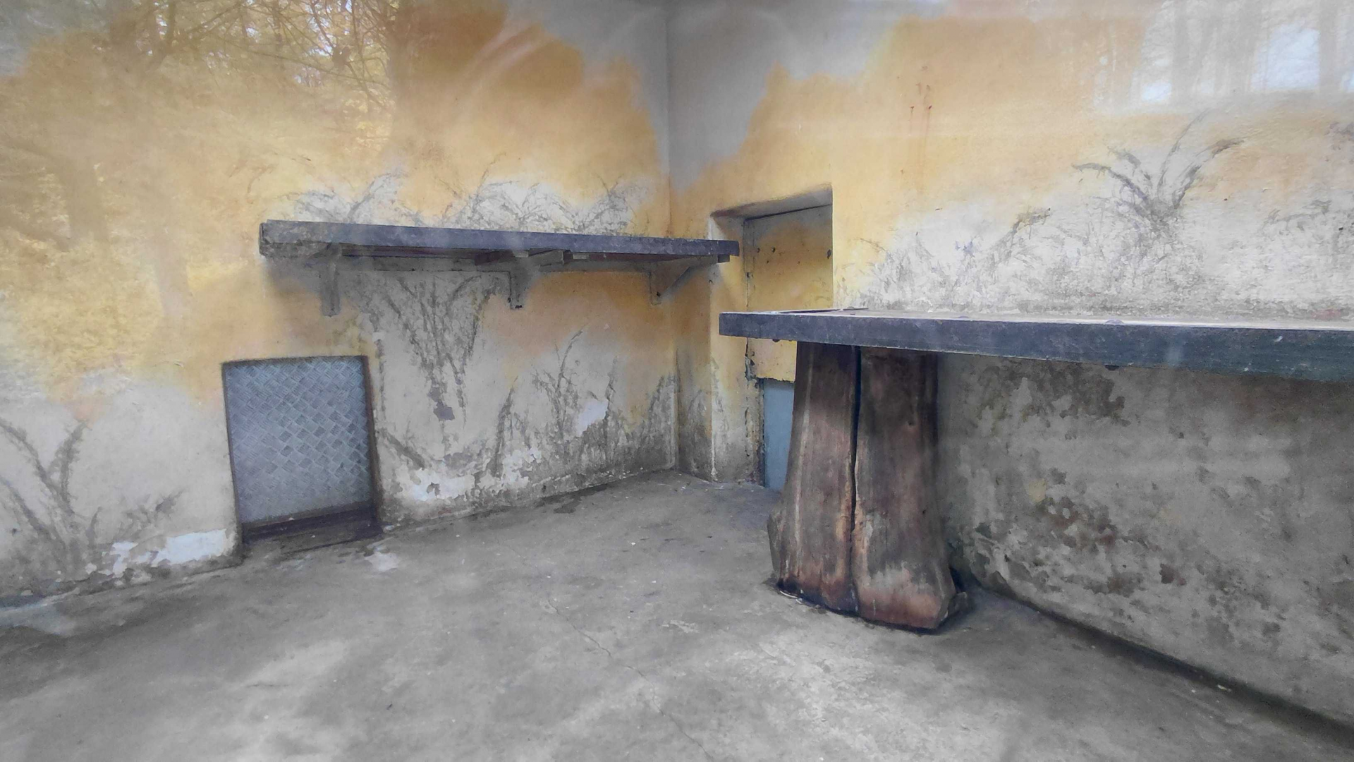 Persian leopard exhibit