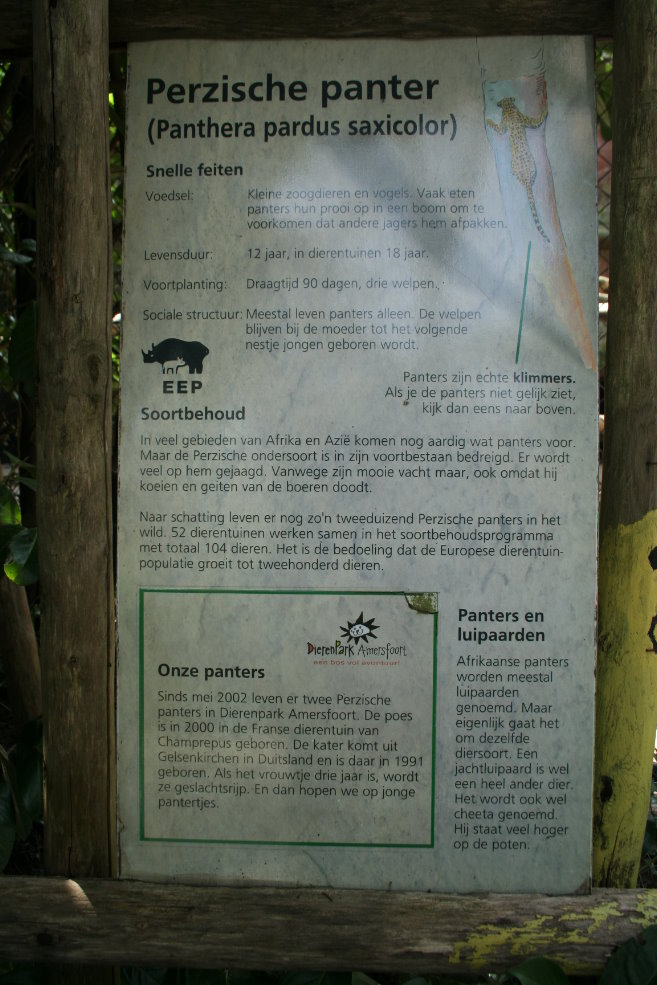 persian leopard panel