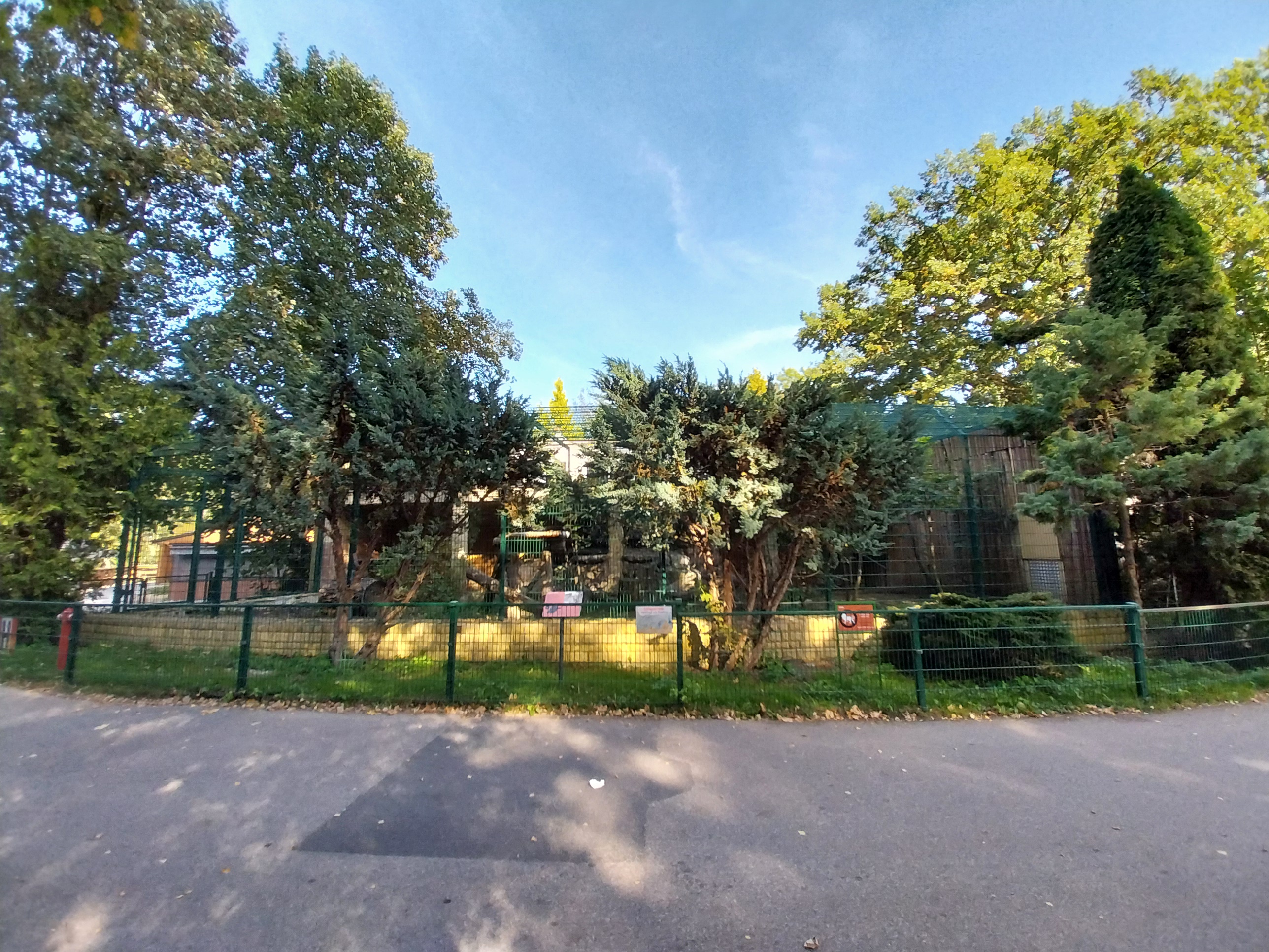 Persian Leopard (Panthera pardus tulliana)