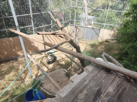 Persian Leopard pt3 (inside the hut)