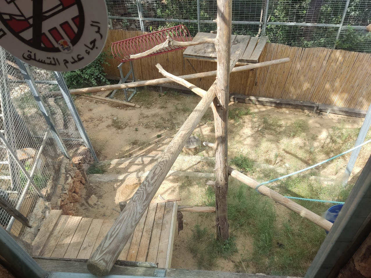 Persian Leopard pt4 (inside the hut)