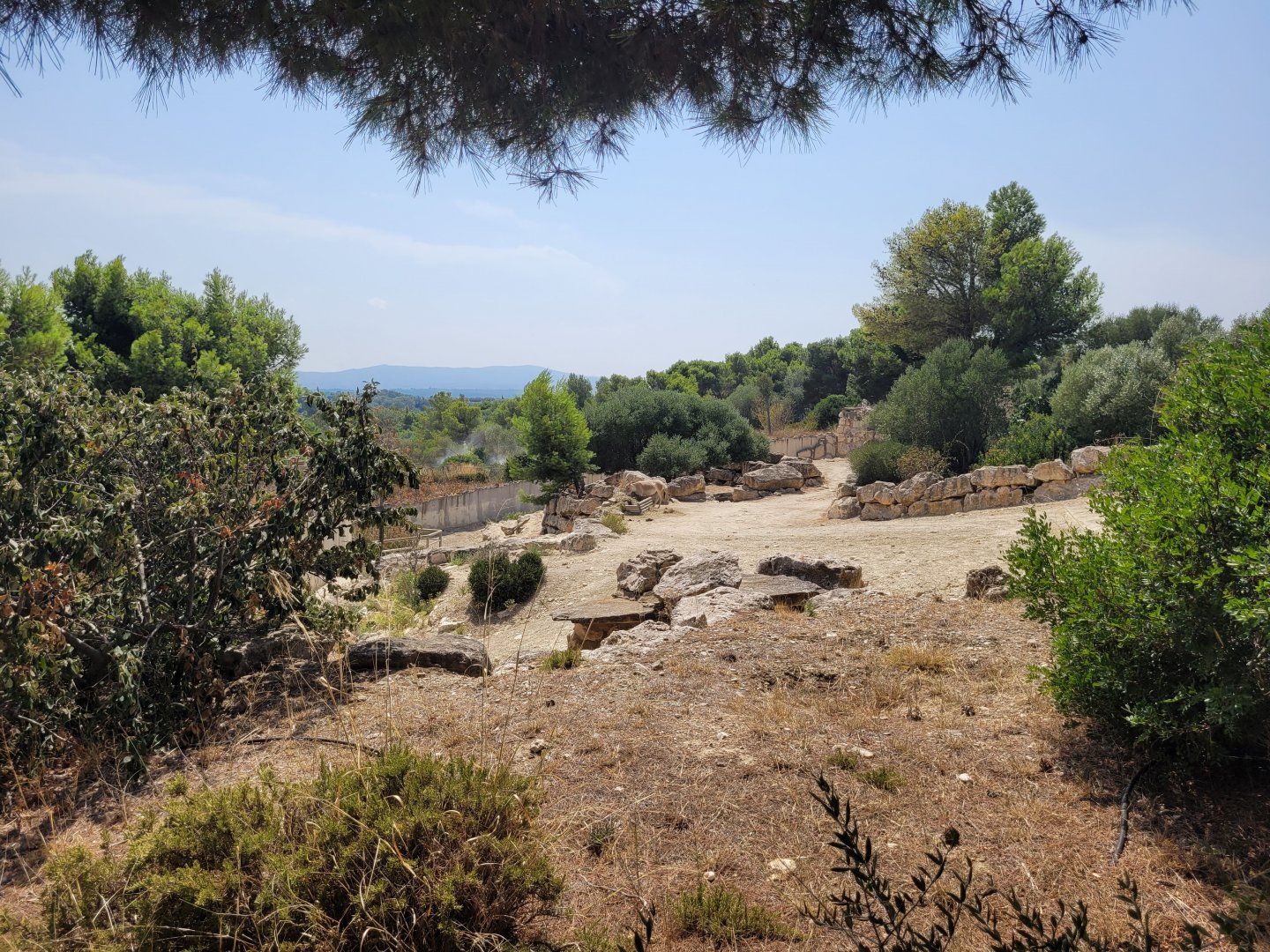 Persian onager exhibit -Réserve Africaine de Sigean (2022)