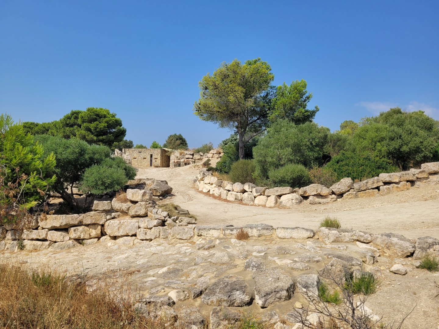 Persian onager exhibit -Réserve Africaine de Sigean (2022)