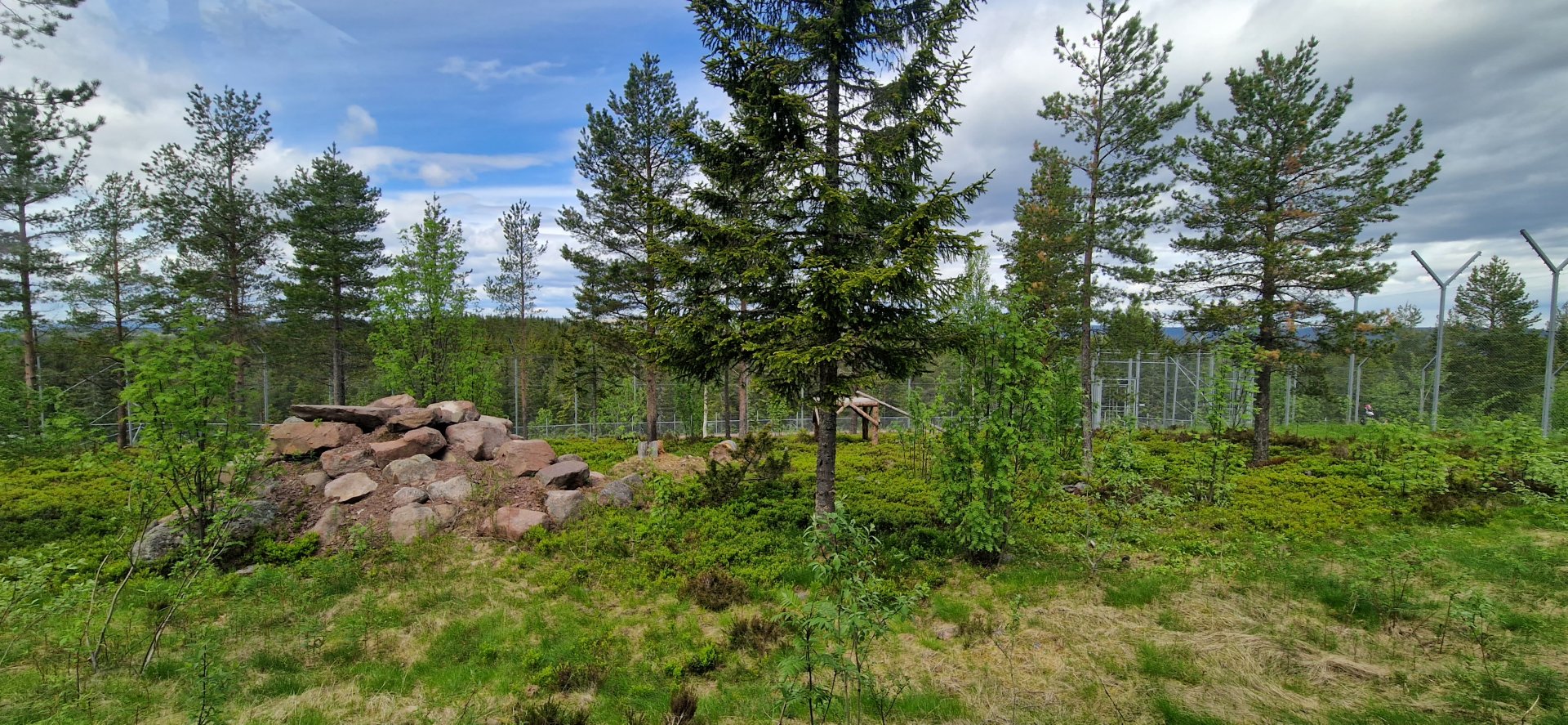 Persion Leopard enclosure