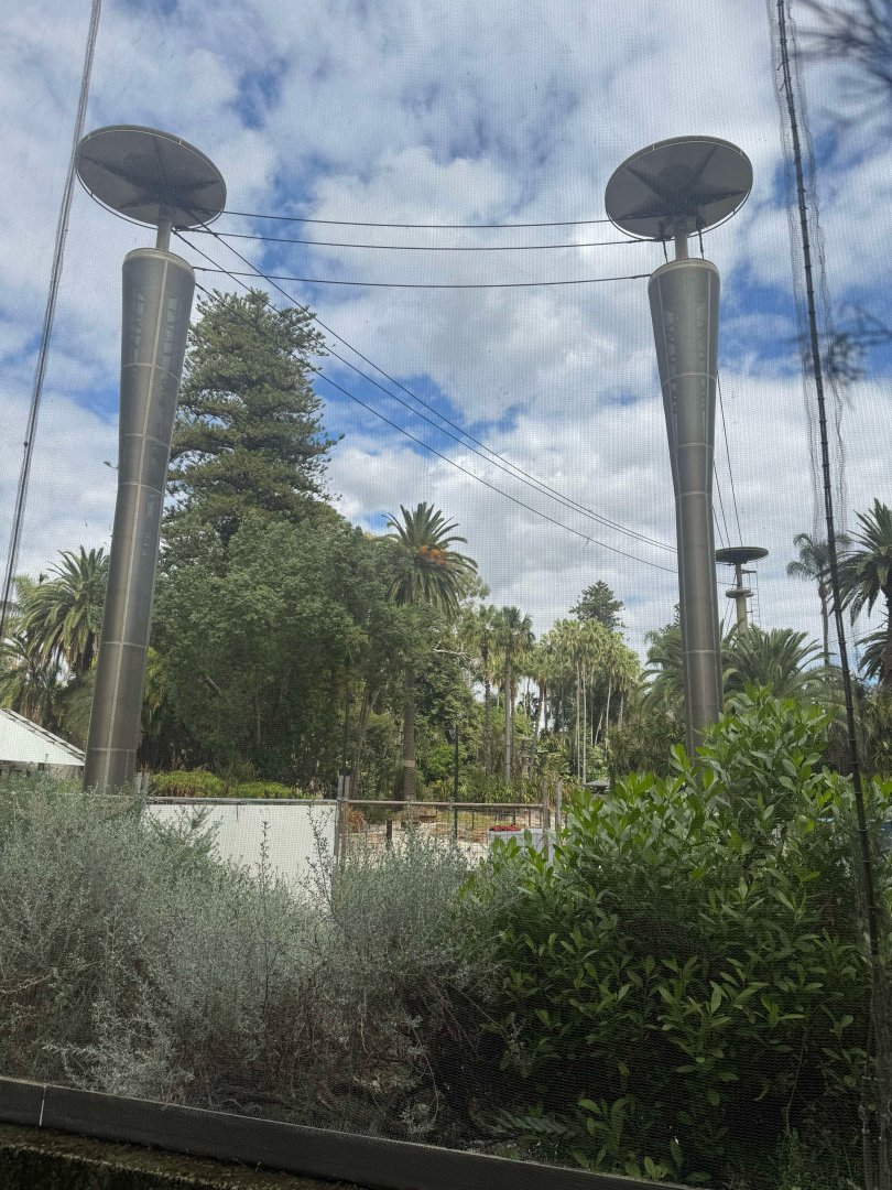 Perth Zoo Gibbon crossing