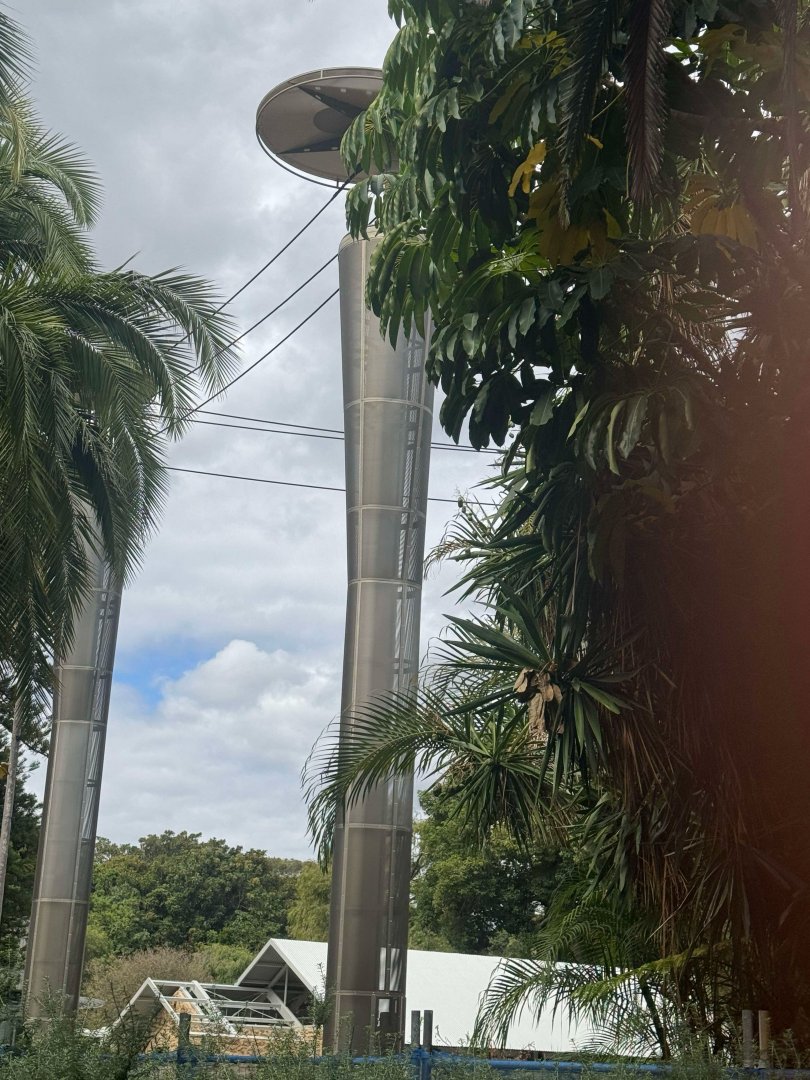 Perth Zoo Gibbon crossing