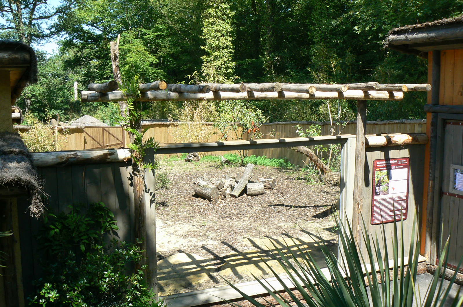 Peruvia - Giant anteater exhibit