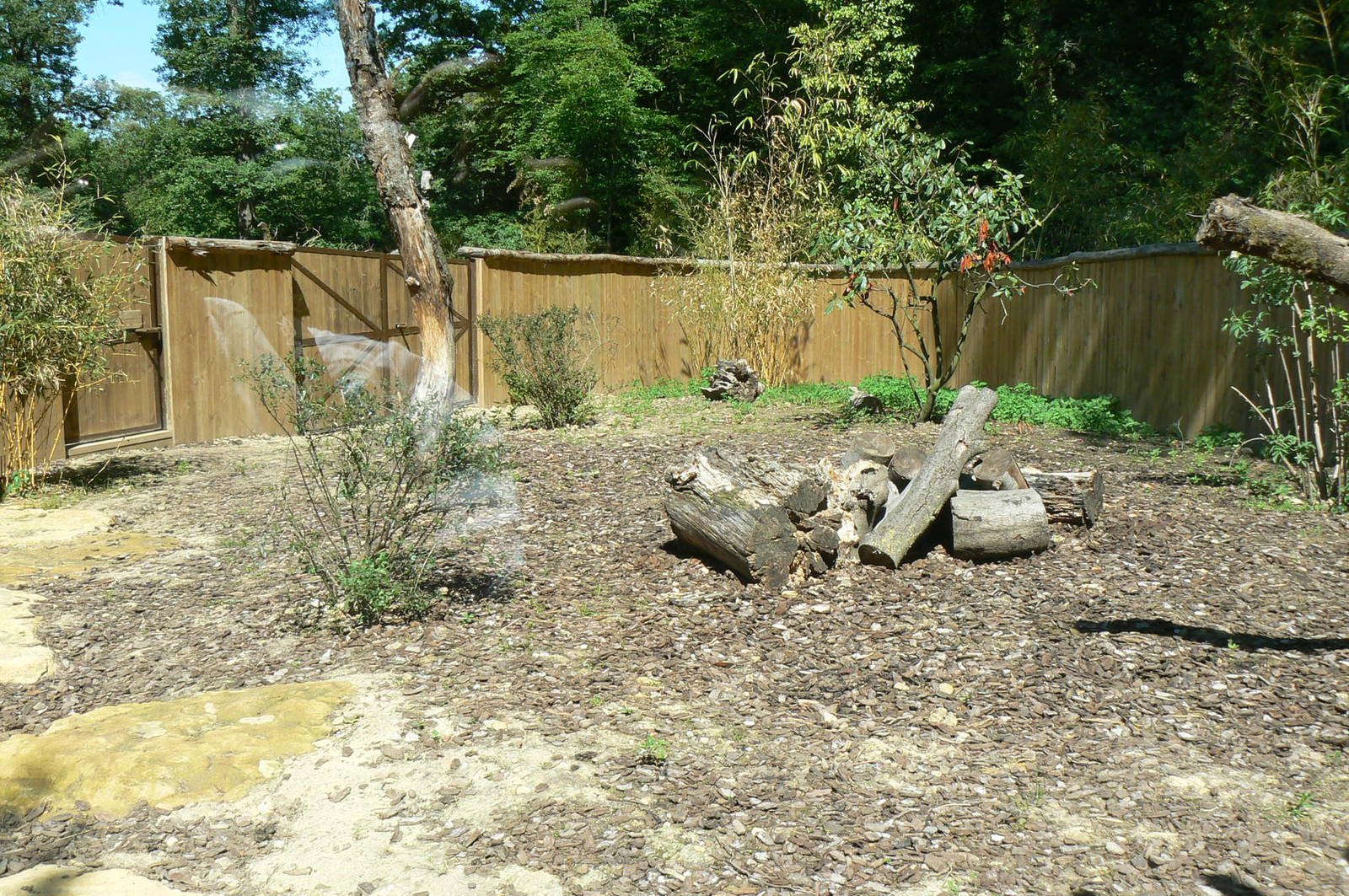 Peruvia - Giant anteaters exhibit