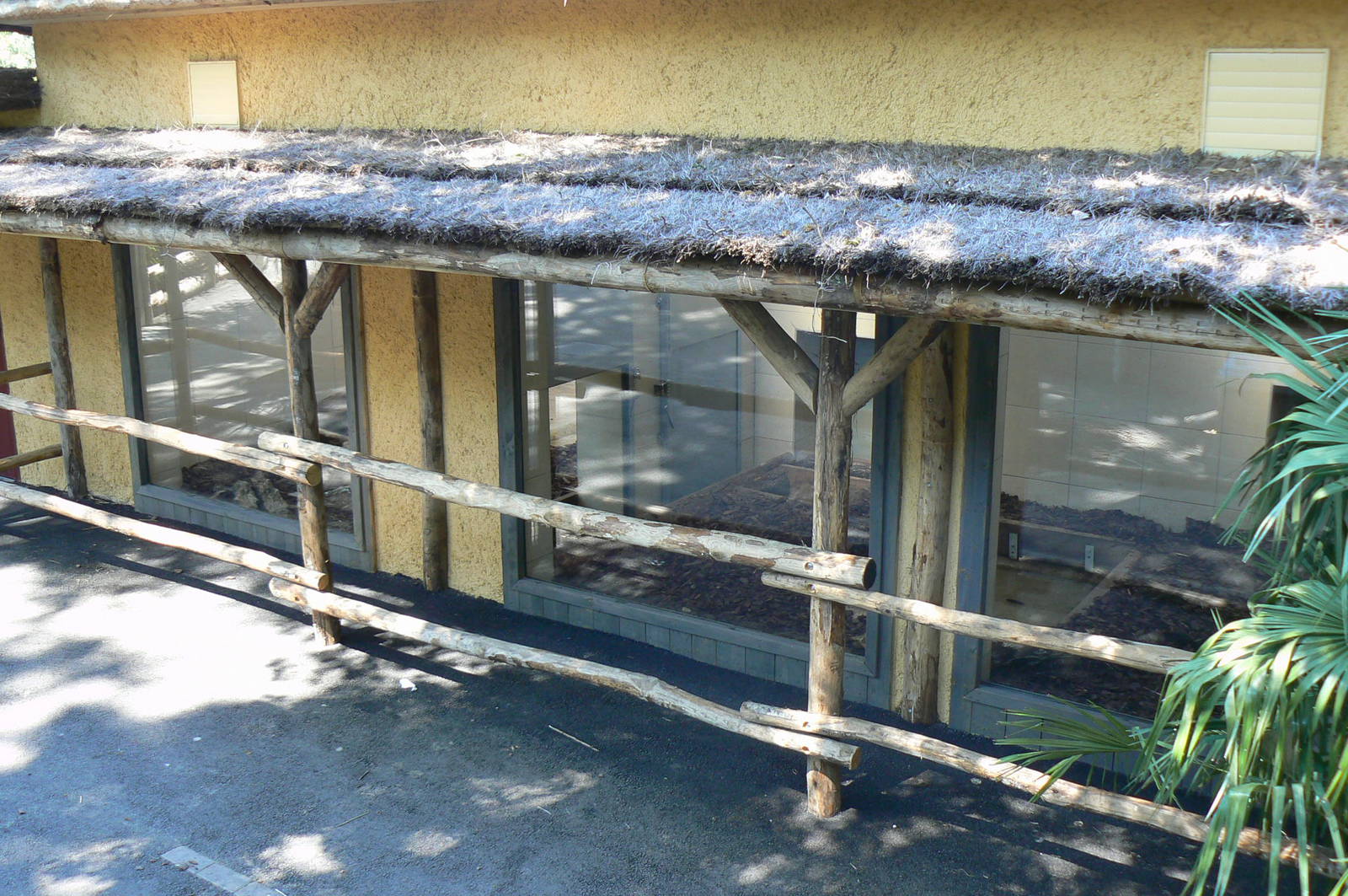 Peruvia - Giant anteaters house