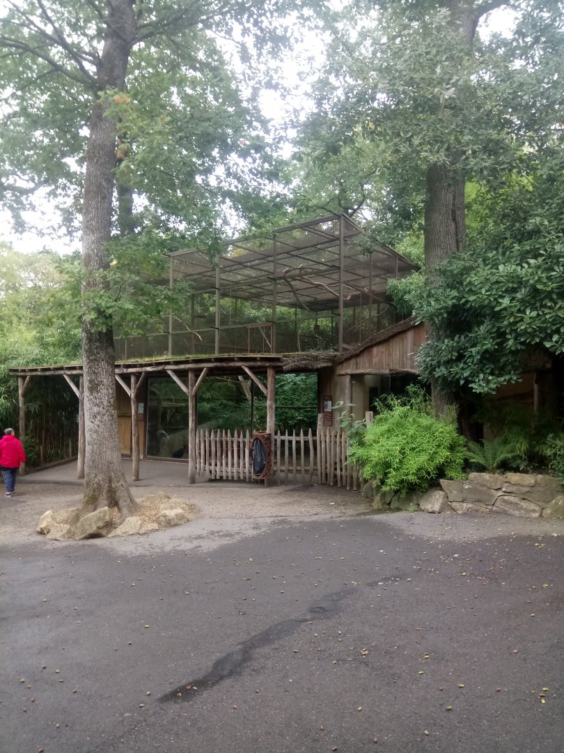 Peruvia : Hyacinth Macaw and Great Curassow Aviary