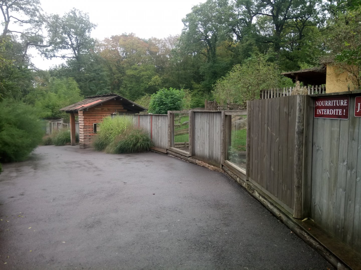 Peruvia : South American Exhibit (Tapirs)