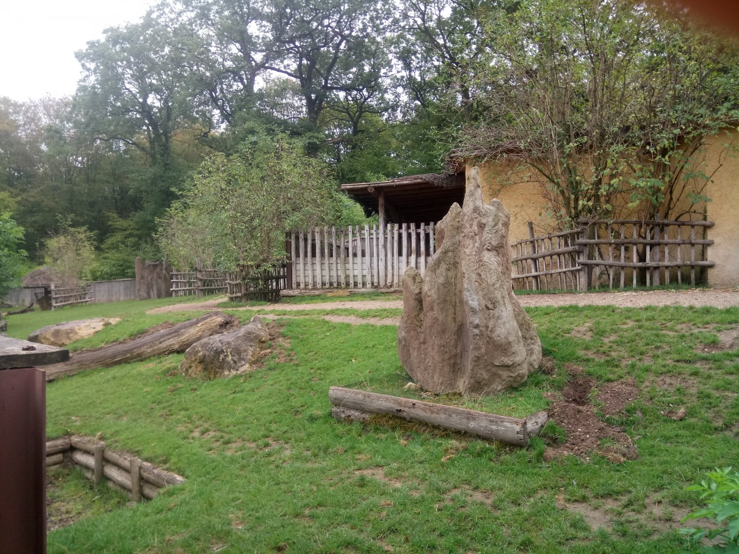 Peruvia : South American Exhibit (Tapirs)