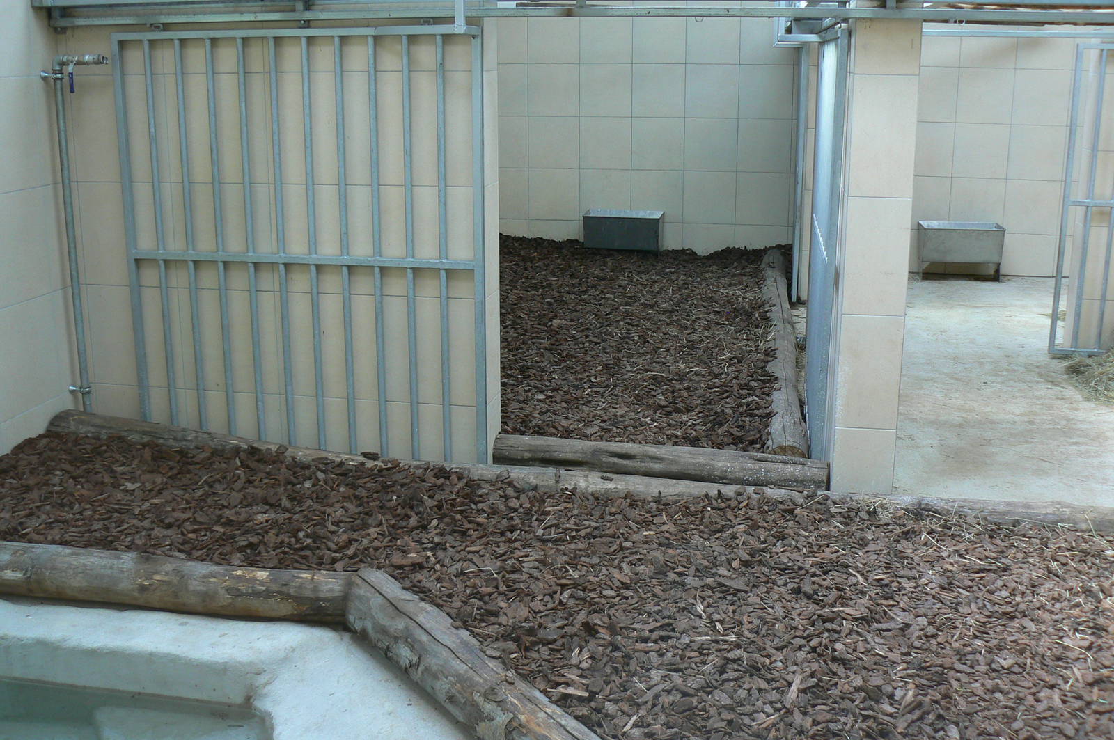 Peruvia - South american tapirs house