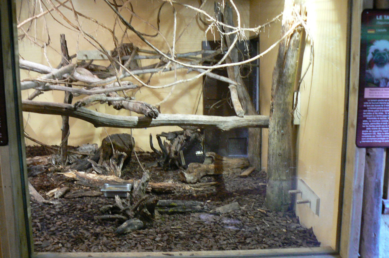 Peruvia - Southern tamanduas and cotton-top tamarins house