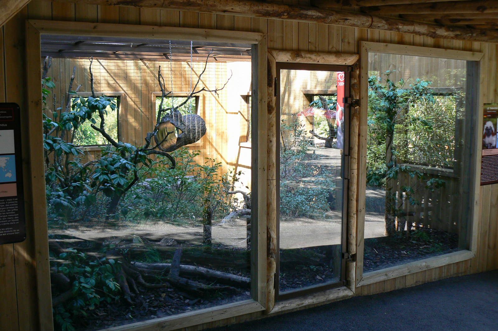 Peruvia - southern tamanduas and cottonn-top tamarins exhibit