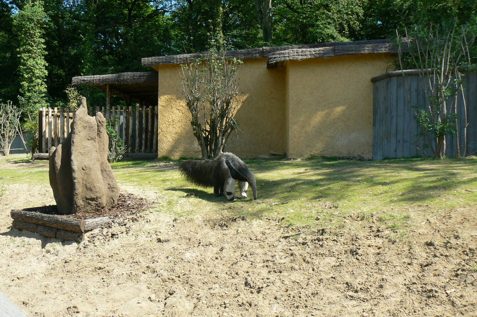 Peruvia - Tapirs and giant anteaters mixed exhibit