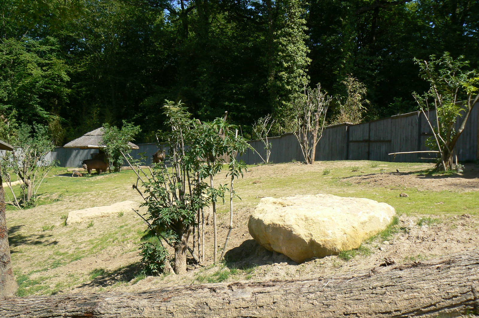 Peruvia - Tapirs and giant anteaters mixed exhibit
